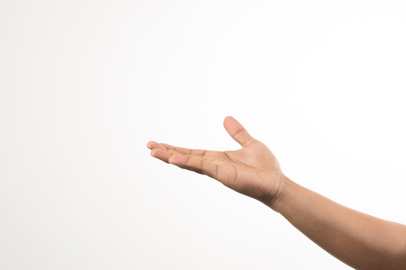 Palm up hand on white backgroundの写真素材
