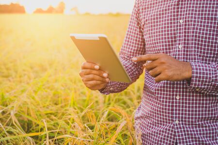 A farmer holding a tablet To check the financial results of agriculture