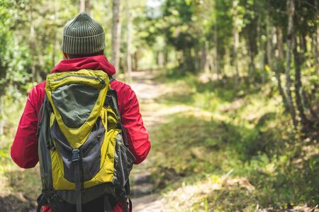 Hipster Hikers wear red raincoats, green backpacks, travel into the deep forest.の写真素材