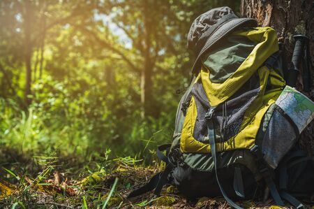 Backpackers lay in the deep, rich green forest. This picture is about a traveler studying nature.の写真素材