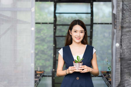 Asian woman Gardener working in houseplant. Owner start up small business  greenhouse. Cute Female holding small tree in pot and smiling in houseplant stay at home.の写真素材