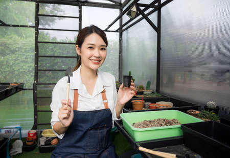 Beautiful cute female asian Gardeners are preparing small planters using a small earthen shovel. Prepare the soil and pots for planting trees.の写真素材