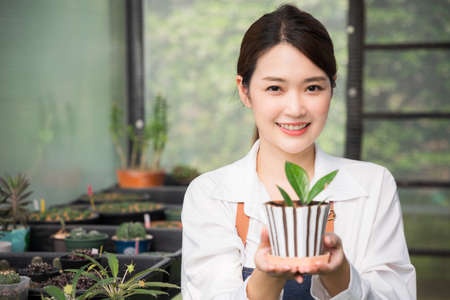 Asian woman Gardener working in houseplant. Owner start up small business  greenhouse. Cute Female holding small tree in pot and smiling in houseplant stay at home.の写真素材