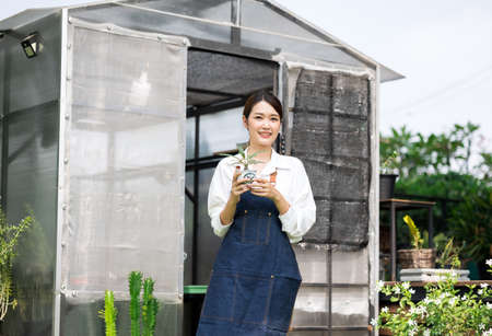 Asian woman Gardener working in houseplant. Owner start up small business  greenhouse. Cute Female holding small tree in pot and smiling in houseplant stay at home.の写真素材