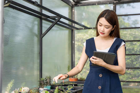 Young cute asian woman working in house plant. Asian female gardener using a tablet to record and capture the growth of trees in greenhouse. Startup small business work from home concept.の写真素材
