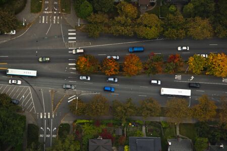 Autumn trees changing color along street in Washington