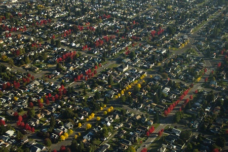 Rows of different colored trees line streets in a neighborhoodのeditorial素材
