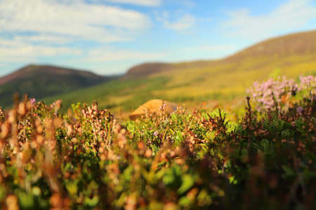 Stunning views of the lochs and the glens around Aviemoreの写真素材