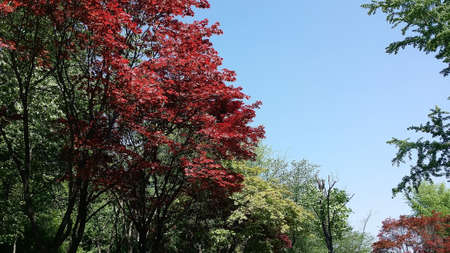 Namsan Park in Seoul under the summer sun