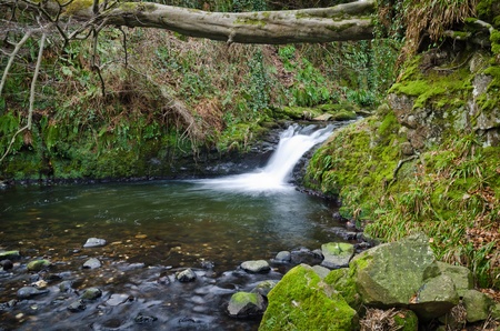 Glenoe Waterfall, Antrim, Ireland.  Part of the world reknown Glens Of Antrimの写真素材