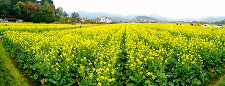 Gutian Conference building in front of the rape filedのeditorial素材