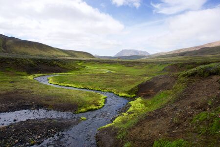 river with bright green grass Iceland landscapeの写真素材