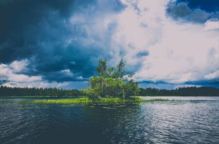 tree island on a stormy lakeの写真素材