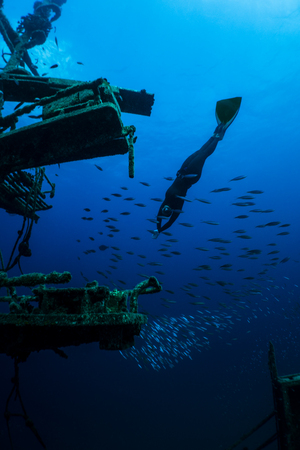 diver in the oceanの写真素材