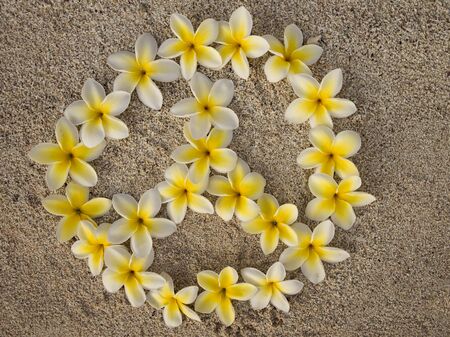 Peace and love in frangipani flowersの写真素材