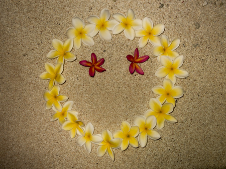 Crown concept frangipani flowersの写真素材