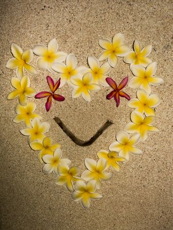 Heart and smile frangipani flowersの写真素材