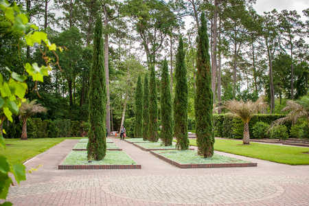 April 2017, Houston, Texas: A woman enjoys the Mercer Arboretum Botanical Gardens in Houston, Texas.のeditorial素材
