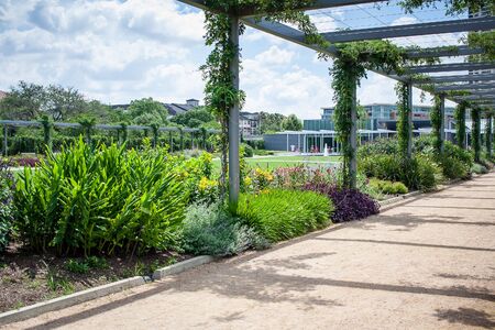 May 2017, Houston, Texas: The entrance to the Pergola Walk at the McGovern Centennial Gardens in Hermann Parkのeditorial素材