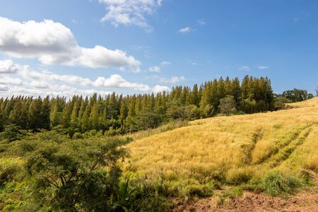Beautiful landscape mountain in Thailandの写真素材