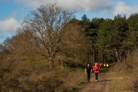 Castricum, Netherlands - 04-10-2017: Seniors morning dunes runのeditorial素材