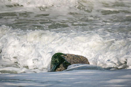 Rock in the surf