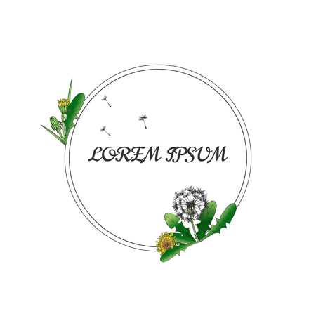 Dandelion, hand drawing.Template for greeting cards, invitations with a round frame for text. Graphic design page. Vector graphic flowersのイラスト素材