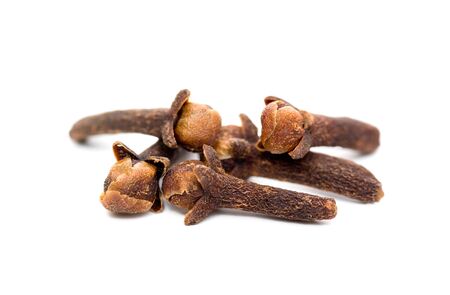 Carnation (spice) the dried up not revealed flowの写真素材