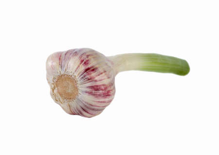 Fresh garlic on a white background