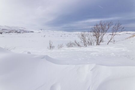 Snow-covered tundra, the Kola Peninsula, Teriberka, Russia