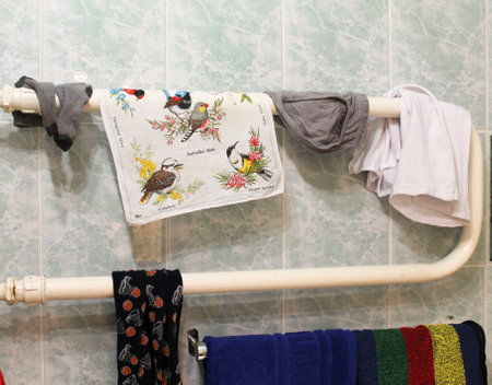 an image of the birdsの写真素材