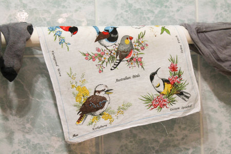 an image of the beautiful birdsの写真素材