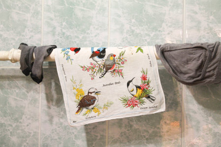 image of the nice birdsの写真素材