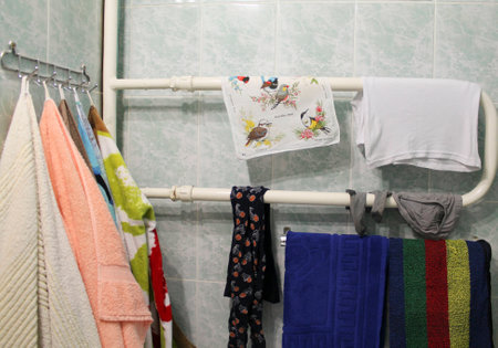 image of the beautiful birdsの写真素材