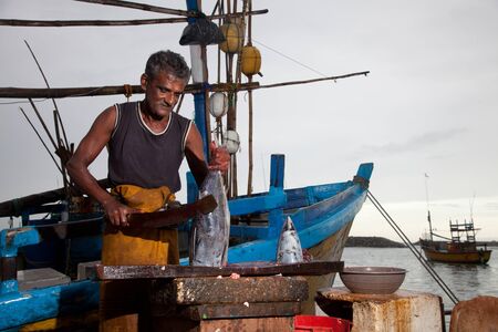 The man at the fish market in Sri Lanka cut up the fishの写真素材