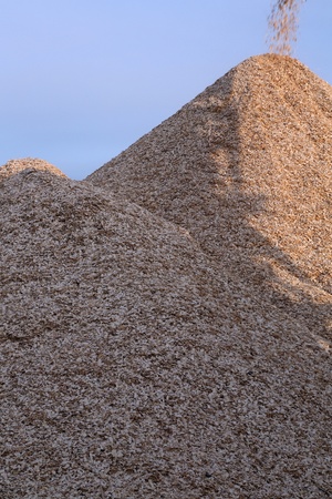 The mountain wood chips is replenished の写真素材