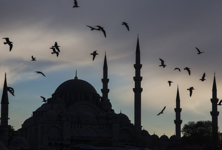 Istanbul. Birds fly above the ancient mosque in the troubled night skyの写真素材
