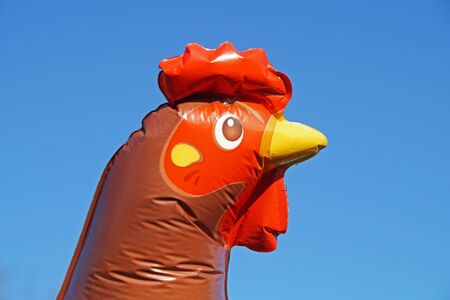 chickenの写真素材