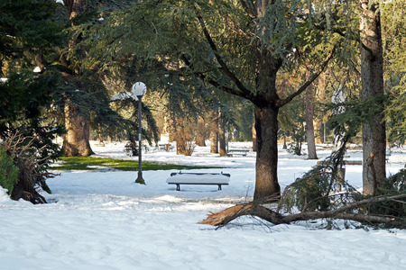 snowy benchの写真素材