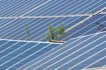 photovoltaic panelsの写真素材