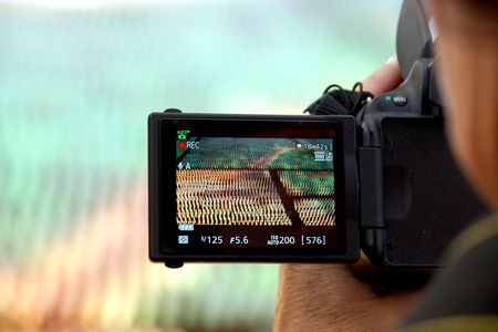 photographの写真素材