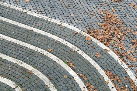 background of the paving stones of the road with yellow autumn leaves. shallow depth of field