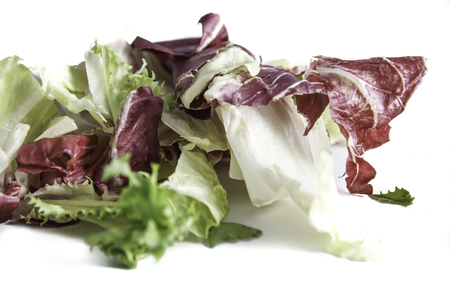 salad radicchio and green lettuce isolated on white background, selective focus and and controlled blur .の写真素材