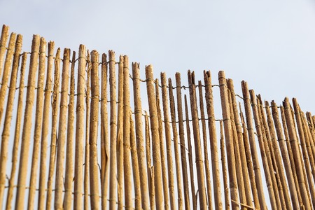 bamboo fence background on the beachの写真素材