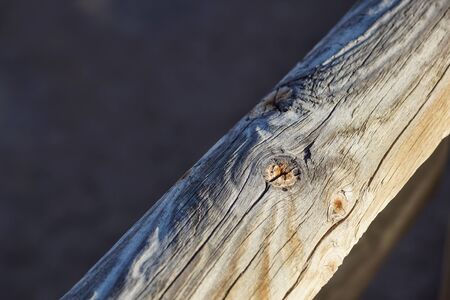 screw screwed in wood with wood shavings