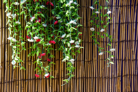Cascading wall of pink spring desert flowersの写真素材