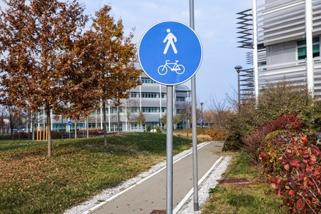 road for pedestrians and bicycles, sunny park
