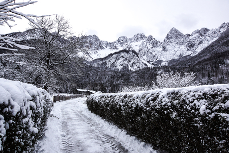 view of snowy mountain peak in a winter daysの写真素材