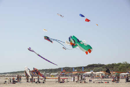 CERVIA, ITALY - MAY 1: Sky full of kites for International Kite Festival on May 1, 2010 in Cervia, Italy. This Festival brings together kite flyers from all over the world every year since 1981.のeditorial素材