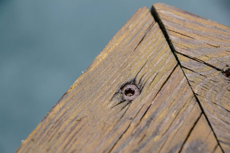Screws screwdriver twist in wooden board. close up